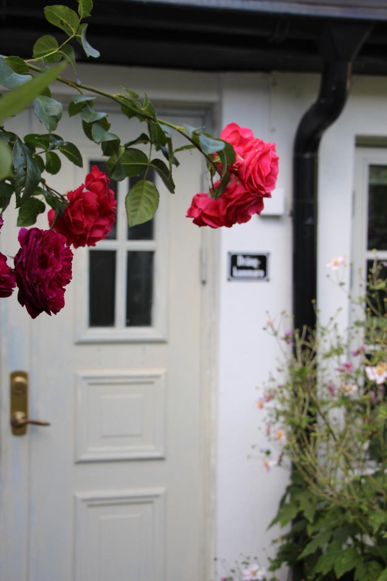 Bjerred B&B Bjärred Exterior foto